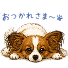 パピヨンるなの日常