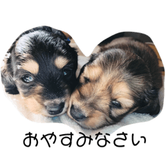 もぐの可愛い四兄妹スタンプ