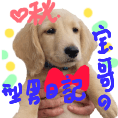 The Bao's fashion dairy.