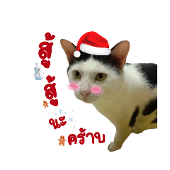 tukta_20241213114705