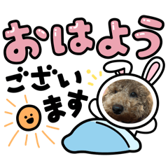 犬のチョコくんのスタンプ