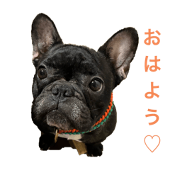 もずくちゃんのいる暮らし