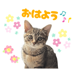 ピンキーちゃんスタンプ