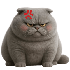 Big chubby grey cat tuatung