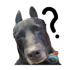 YaNrOu_20251116141130