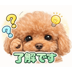 ワンワンスタンプ‼︎