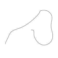 あなたの髪すべて