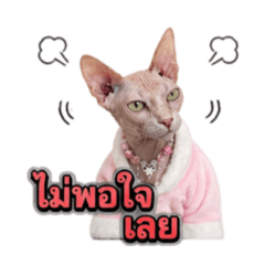 Natthakit Thianwitawat_20260501102754