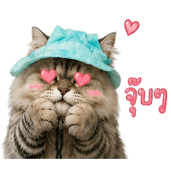 kuayjeng_meelucky