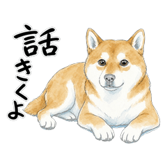 話をきくしば犬【愚痴・弱音】