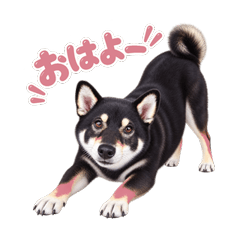 動く！黒柴チャロのあるあるスタンプ