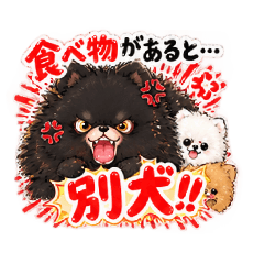 cocode hot time cocoa 急変