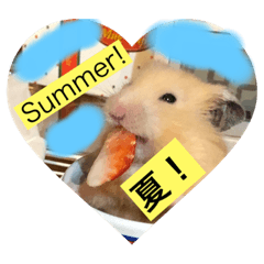 Love Hamutaro The Hamster - Summer