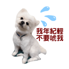 Cool mo ball life talks all