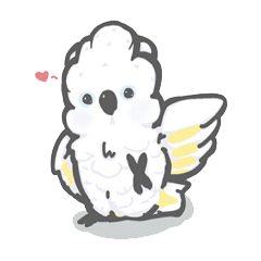 Cockatoo&#39;s daily life