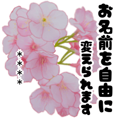 可愛いピンク❤️春桜と素敵な敬語カスタム