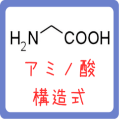 アミノ酸・ヘテロ環構造式　-薬学生-