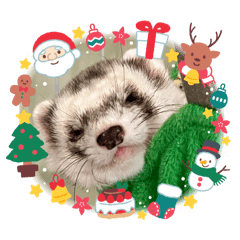 7 Cats & 2 Ferrets of Xmas and New Year