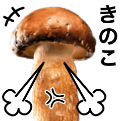 動く❤️きのこ❤️キノコ❤️