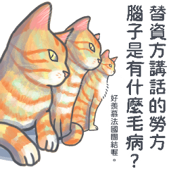 Office Cat Blues : Just let me Nap