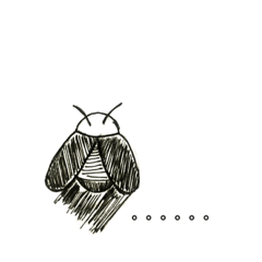 helpless cat &happy cockroach