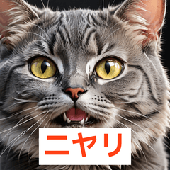 グレー猫のきまぐれスタンプ