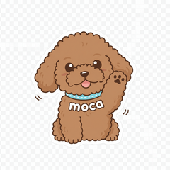Poodle "moca" Daily Stickers