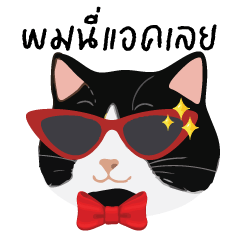 kaiju tuxedo cat
