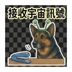 Rosemei_20251227134715