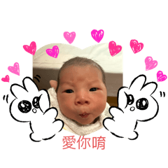 TORO-DAD_20260104204556