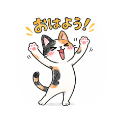 みけねこのすたんぷ⭐️