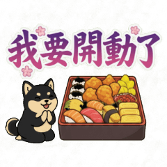 Black Shiba Inu, I'm starting now!