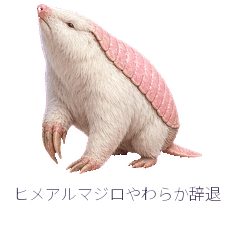 ヒメアルマジロやわらか辞退