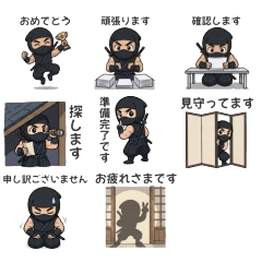 Business Ninja: Mission Accomplished!