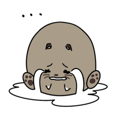 Phupha_20240305120351