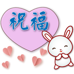 Cute white rabbit- -practical daily