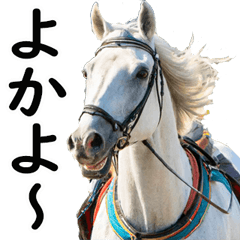 博多弁で競馬