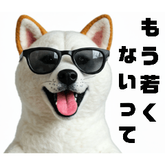 警告してくる犬ミーム☆