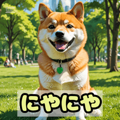 表情ゆたかな柴犬