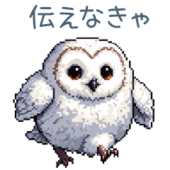 伝えるフクロウ【かわいい・面白い】