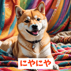 しばけんの気持ち