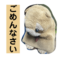 使える動物ちゃん達