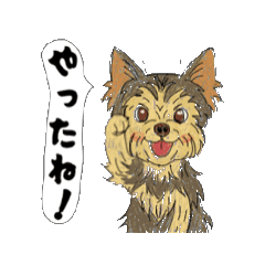 アクションk-gigi26