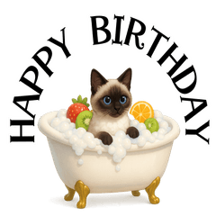 にゃんこ泡風呂パラダイス