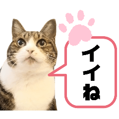 かわいいおとはちゃん①