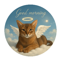 Cats in Heaven～abyssinian cat①