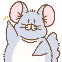 今日もチンチラ。【日常使い編】