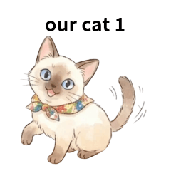 家族みんなの猫 1