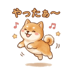 豆柴　2