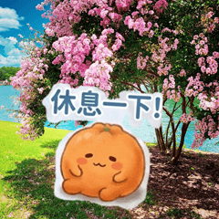 Orange Jiajia